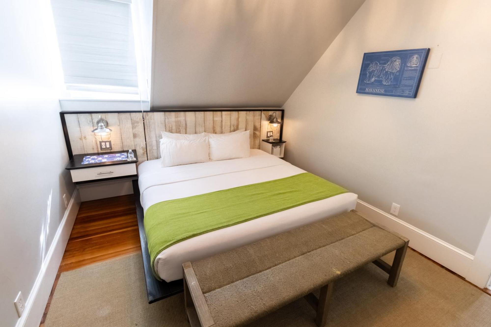 Paws On Pelham (Adults Only) Bed and Breakfast Newport Tower Eksteriør billede