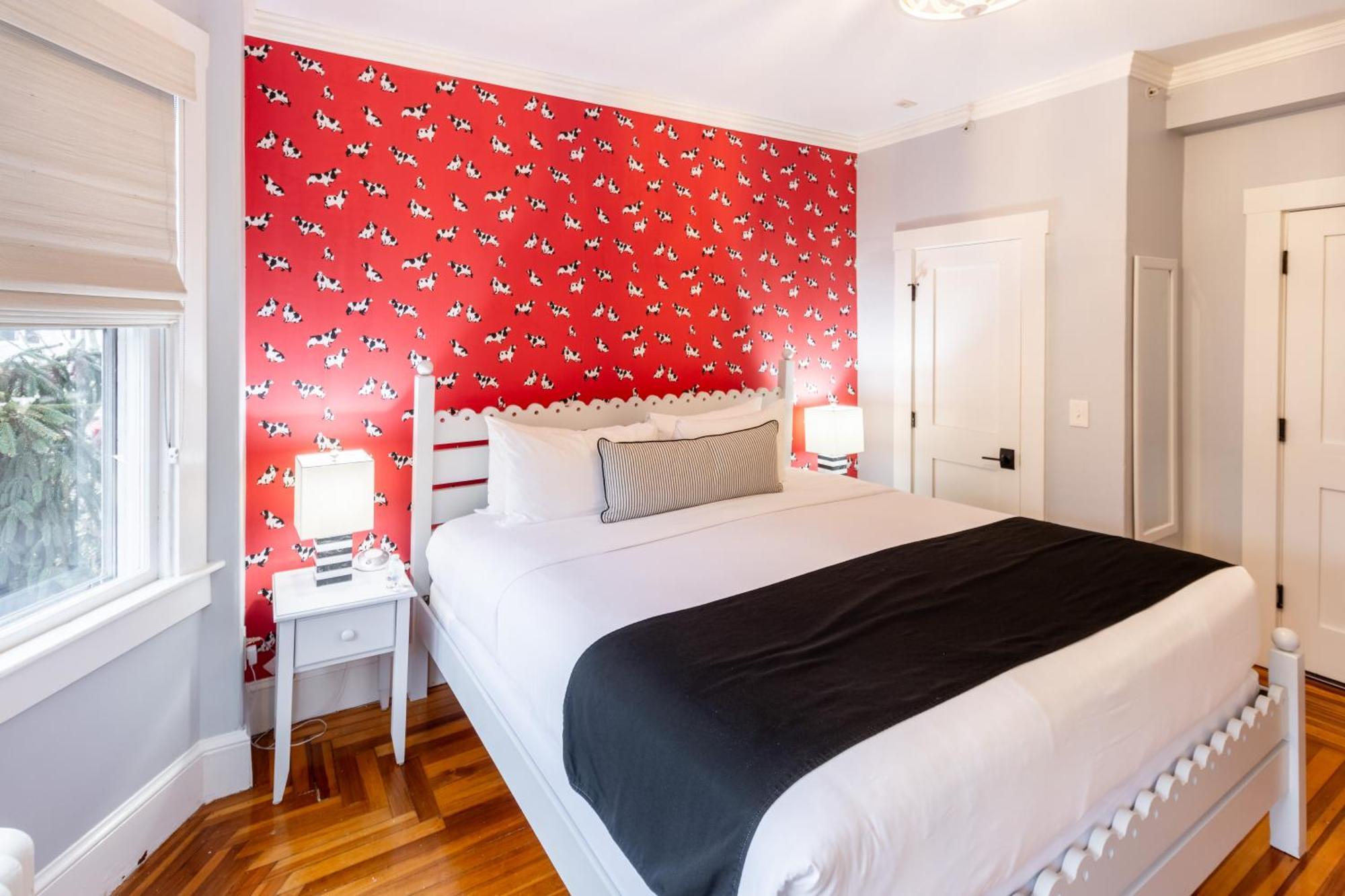 Paws On Pelham (Adults Only) Bed and Breakfast Newport Tower Eksteriør billede