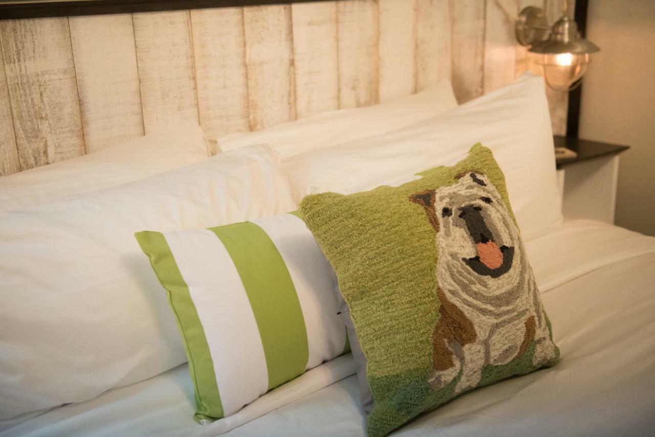 Paws On Pelham (Adults Only) Bed and Breakfast Newport Tower Eksteriør billede