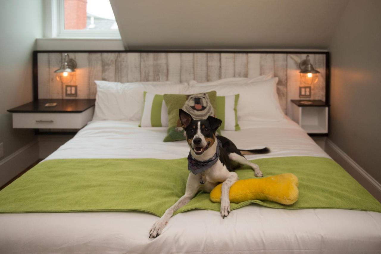 Paws On Pelham (Adults Only) Bed and Breakfast Newport Tower Eksteriør billede